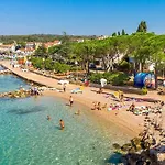 Villa With Pool, Olive Garden And Sea View By Traveler Tourist Agency Krk - Id 2147 Skrbčići
