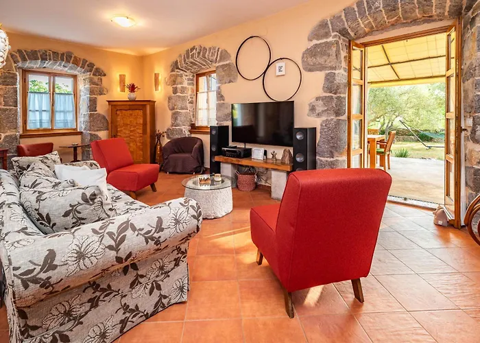 Villa With Pool, Olive Garden And Sea View By Traveler Tourist Agency Krk - Id 2147 Skrbčići