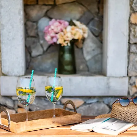 Villa With Pool, Olive Garden And Sea View By Traveler Tourist Agency Krk - Id 2147